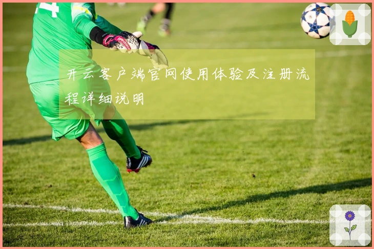 开云客户端官网使用体验及注册流程详细说明