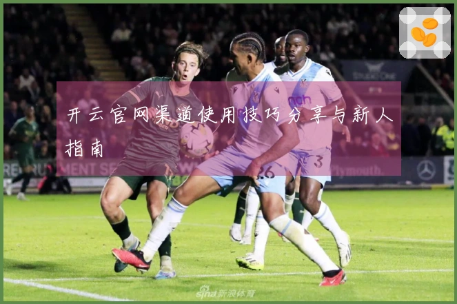 开云官网渠道使用技巧分享与新人指南